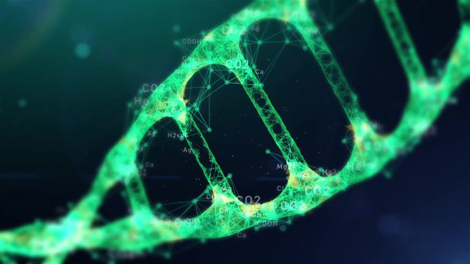 科技互联网数据信息数字dna化