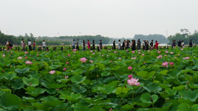 金山湖延时