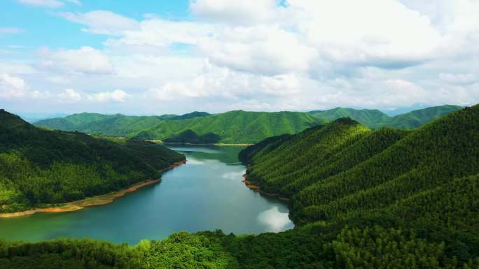 重峦叠嶂的竹林与河流