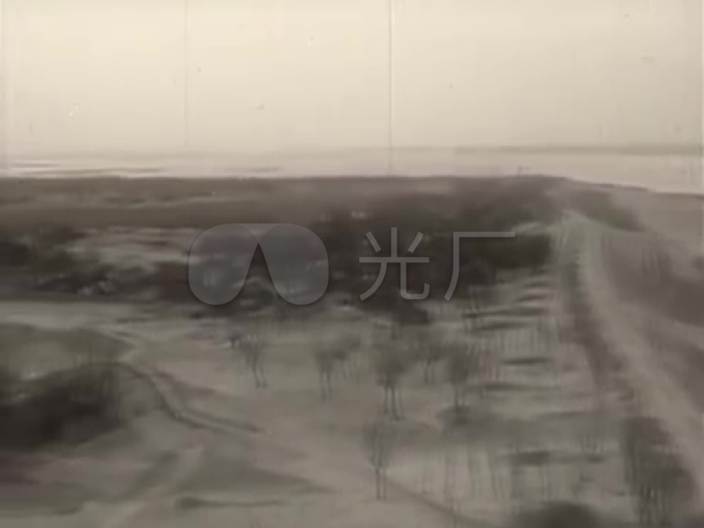 50年代河南兰考盐碱地风沙地