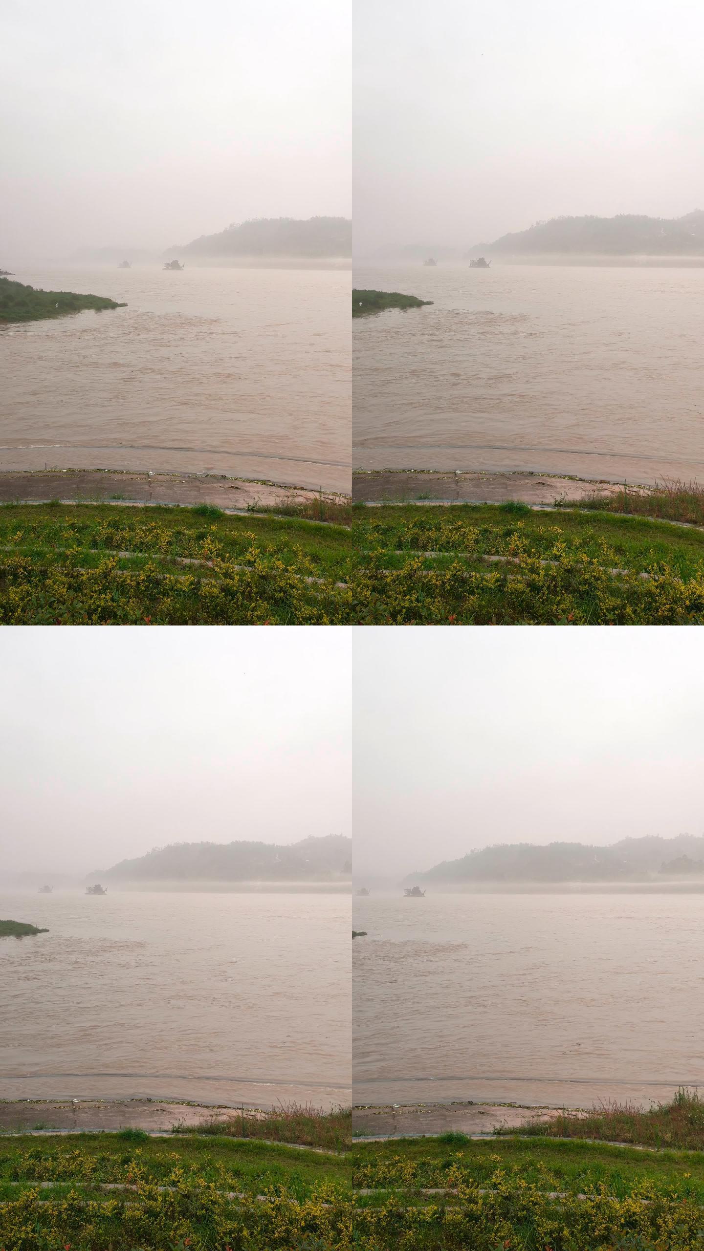 实拍晨雾中的岷江9竖屏（4K）