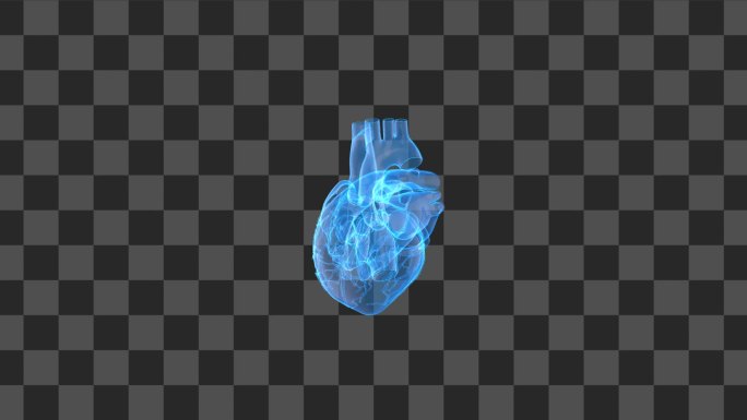 人体心脏介绍-alpha通道无缝循环