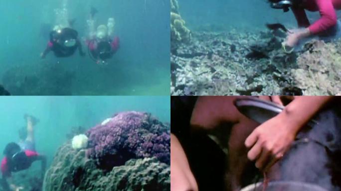 80年代潜水海鲜潜海