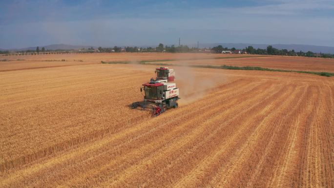 小麦收获的季节4K航拍