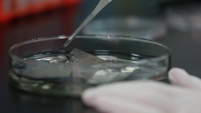 生物医学人体器官替代材料研究医用钛钛合金