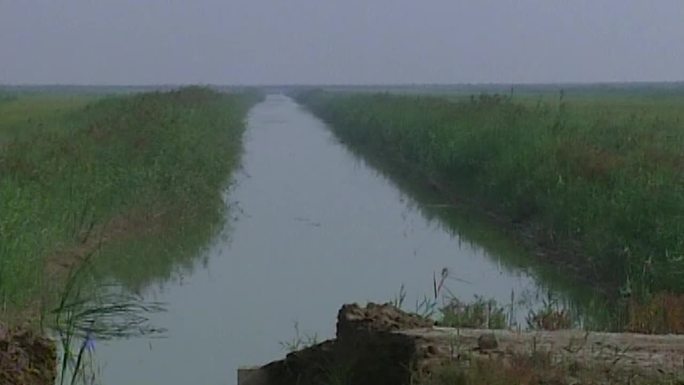 河道河流农业水稻水利渠道
