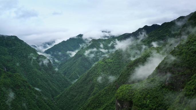 浙江九龙山山间云雾缭绕延时