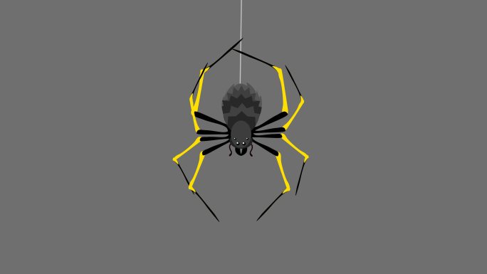 mg倒挂的蜘蛛-alpha通道