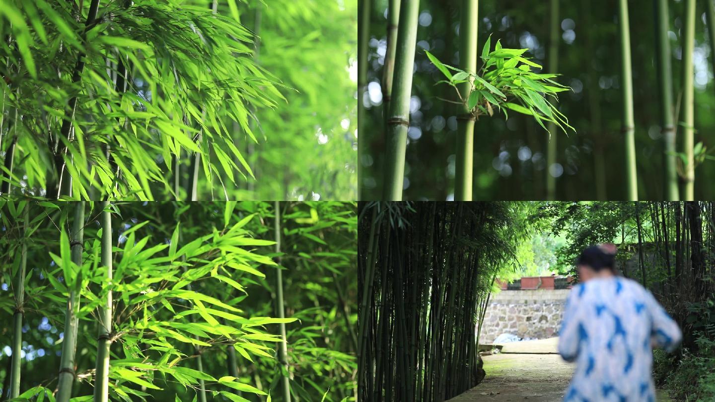 8组芹菜龙竹子老人特写