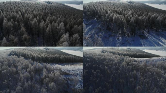 海拉尔雪景航拍