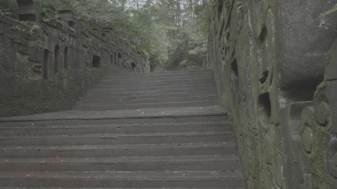 四川蒙顶山皇茶古井4K