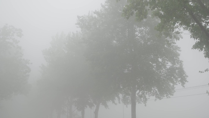 【原创】大雾天气