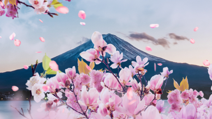 4K日式富士山下樱花飘落全息投影