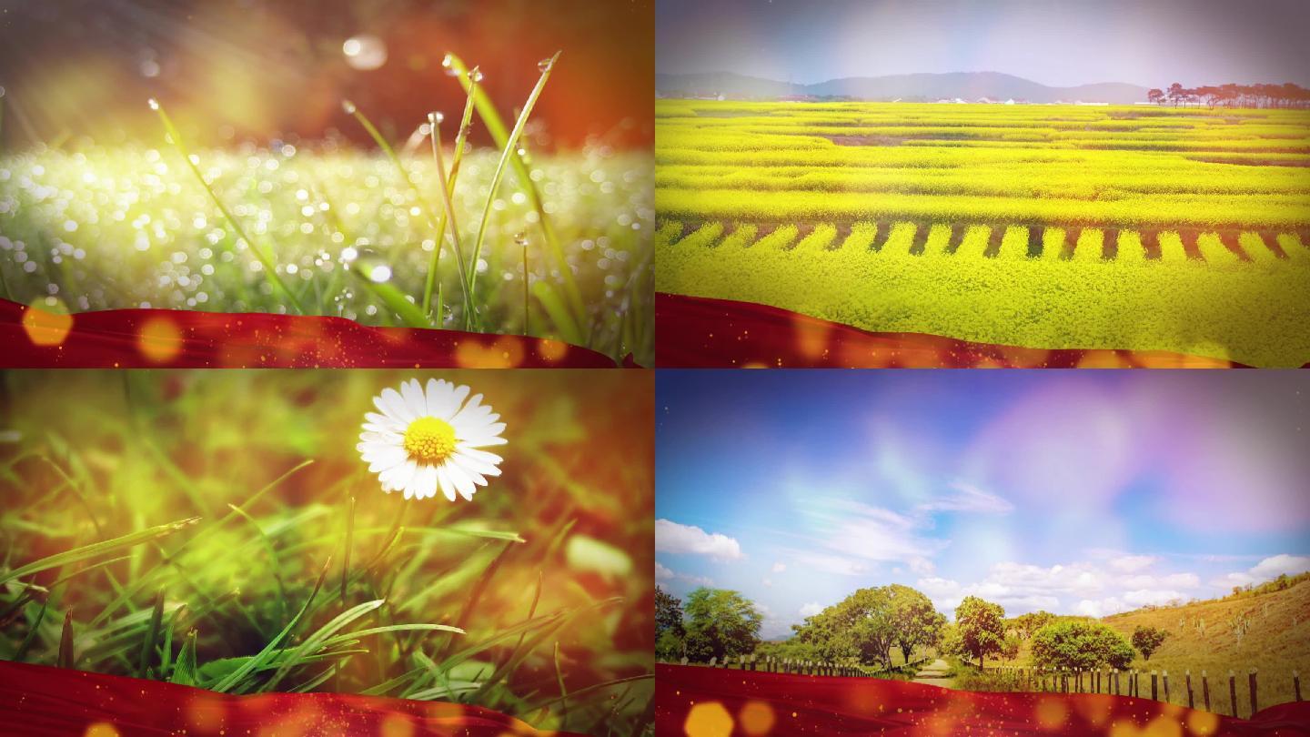 青青世界那英_1920x1080_高清视频素材下载(编号:4712045)_舞台背景