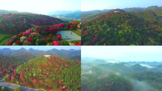 贵州毕节百里杜鹃景区航拍