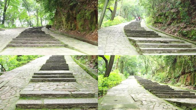 石阶路台阶路登山路岳麓山