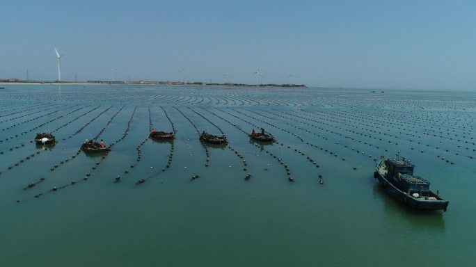 航拍海滩海洋绿色海岸水产养殖