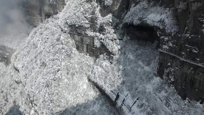 金佛山雪景