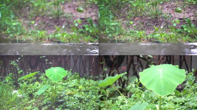 南方梅雨暴雨