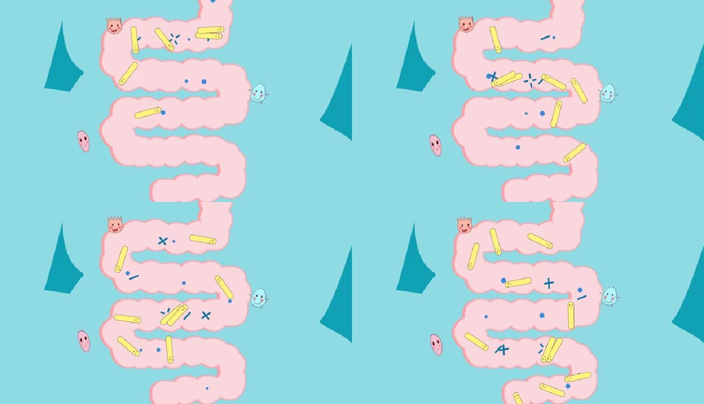 胃部药物吸收动画3D渲染_3840X2160_高清视频素材下载(编号:5548295)_影视包装_光厂(VJ师网) www.vjshi.com