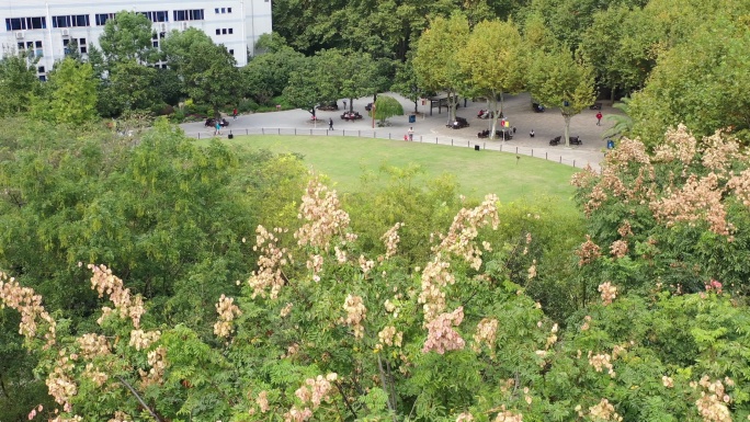 航拍;上海虹口区和平公园