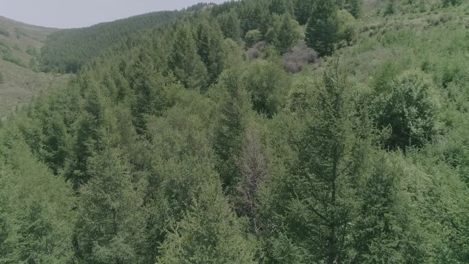 航拍山西青山绿水生态文明视频原素材