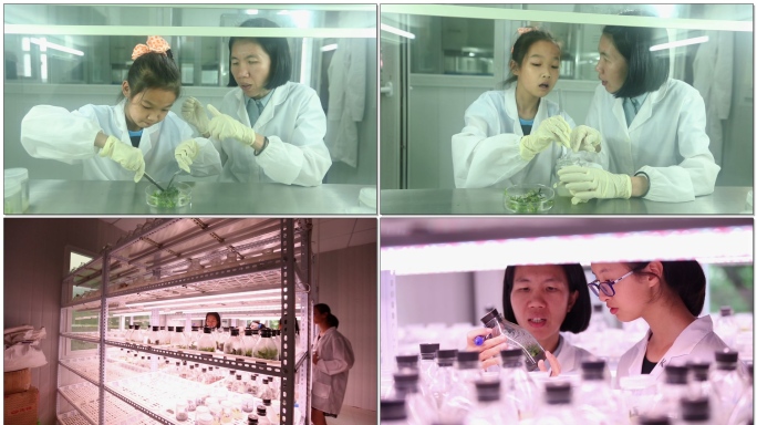 老师带学生研究探索植物无土栽培