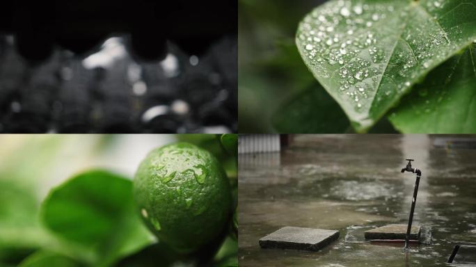 下雨雨季水滴自然