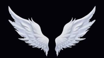 12下载粒子金色翅膀循环al5下载3d全息暗黑天使之翼荐9下载六翼大天使