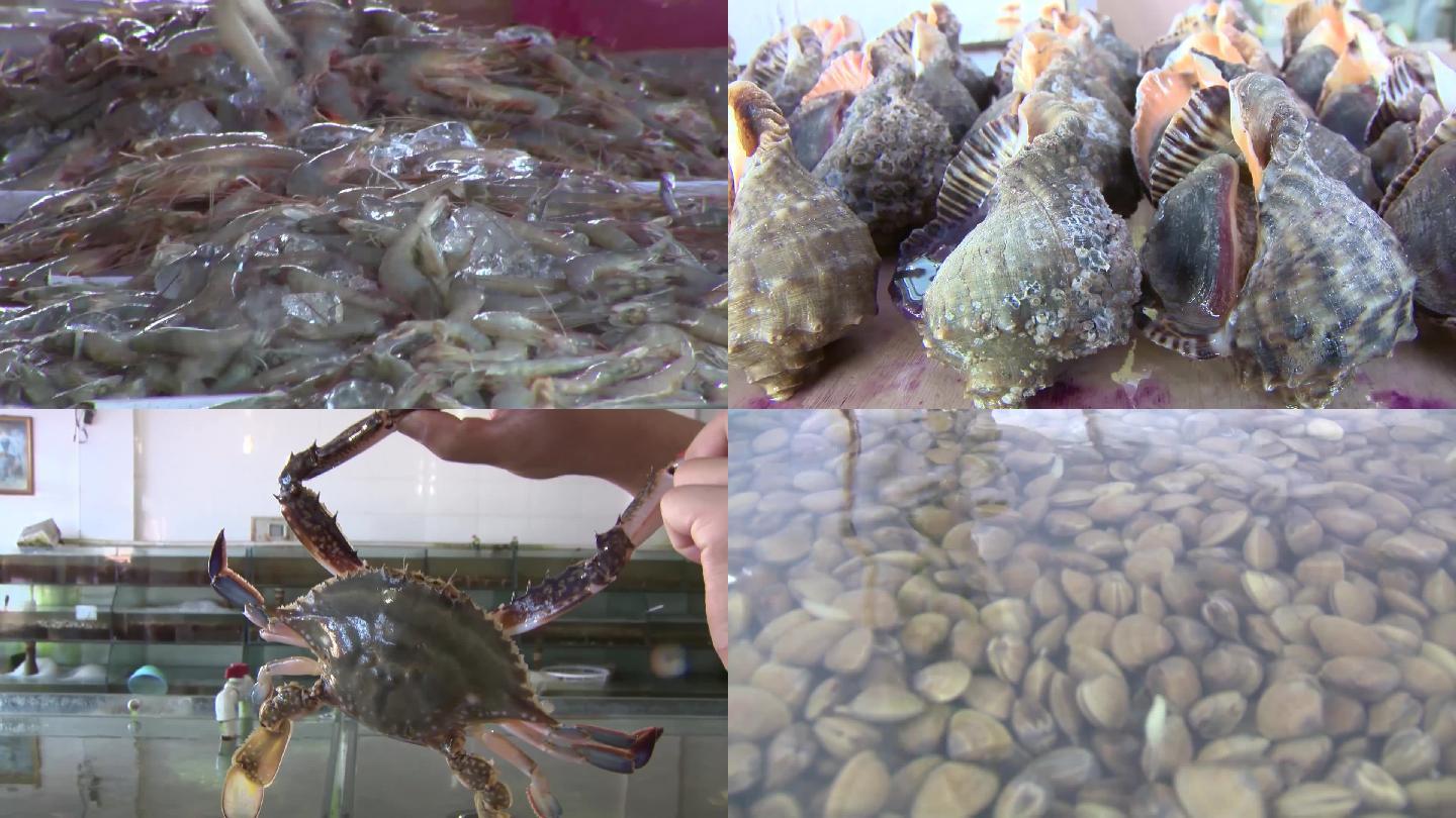丹东海鲜-黄蚬子虾爬子螃蟹