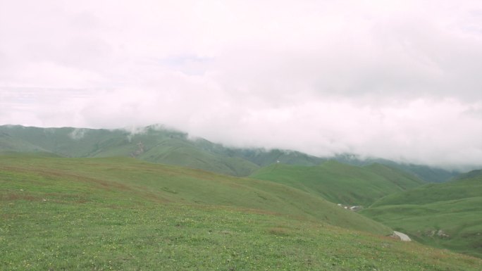 大海草山