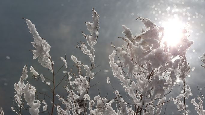 吉林冬季雾凇阳光照耀江水