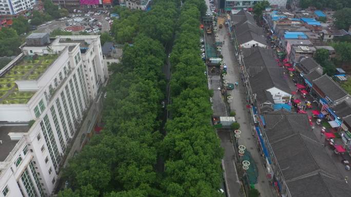 4K-原素材-南阳人民南路