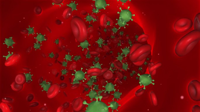 血管红细胞病毒