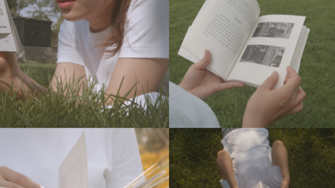 女孩草坪上看书、阅读、大学校园生、学生