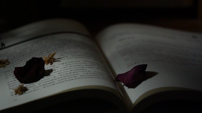 花瓣掉落书上升格