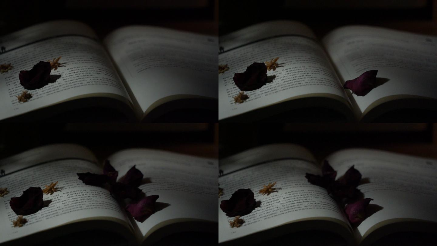 花瓣掉落书上升格