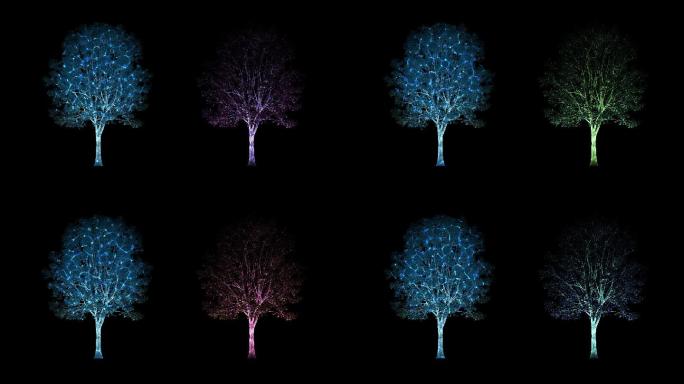 水纹树、染色树
