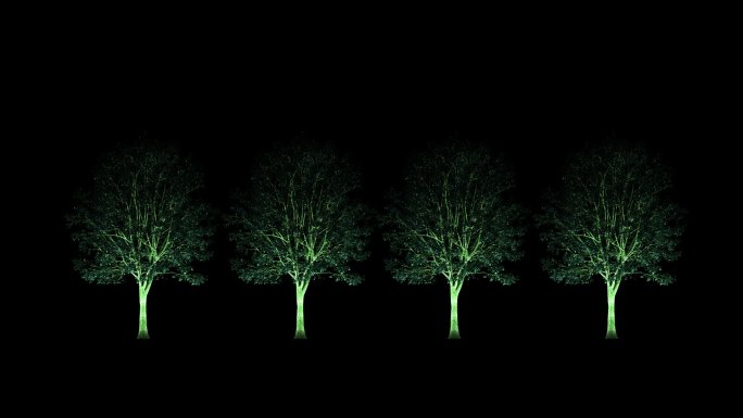 照树灯染色树投光树带通道