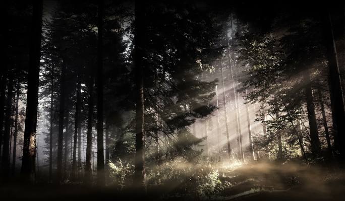 舞台投影清晨阳光照进云雾树林大屏视频素材