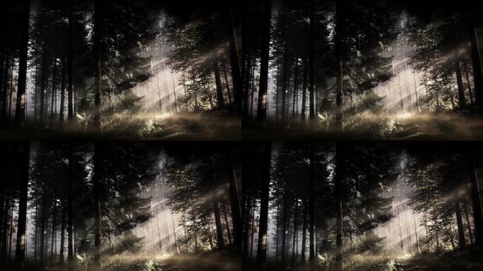 舞台投影清晨阳光照进云雾树林大屏视频素材