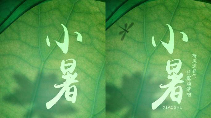 小暑节气