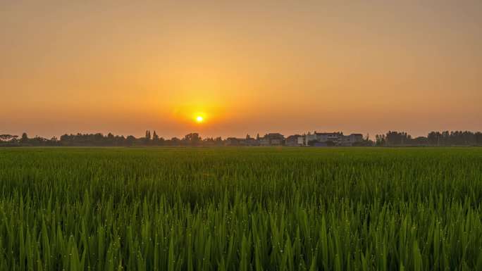 6k60p乡村田野夕阳延时摄影