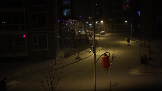 城市的夜里安静的雪