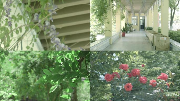 学校树木走廊空镜头等视频素材合集