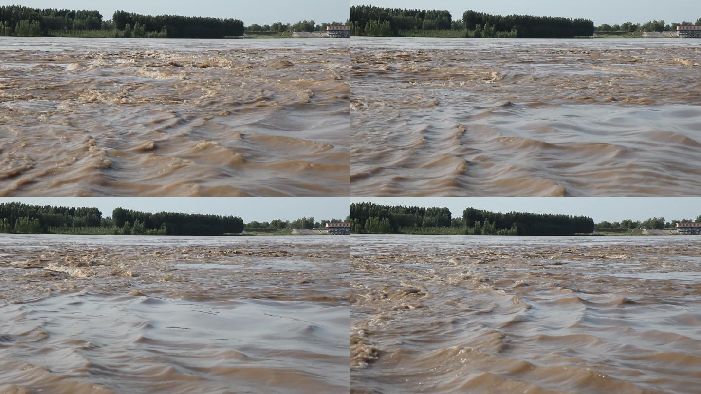 黄河河道洪水黄河浪