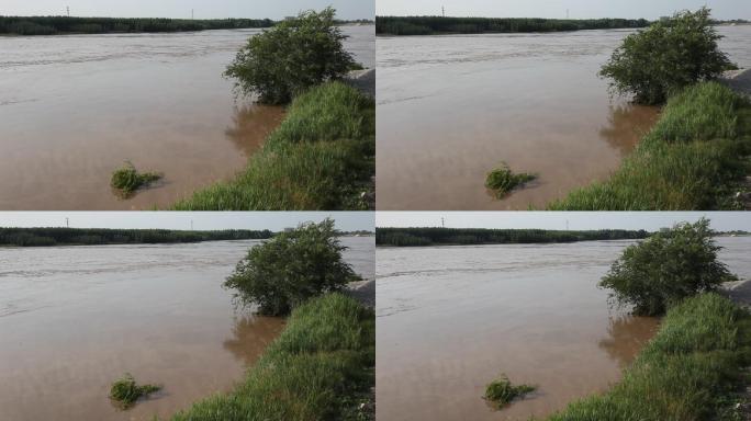 黄河河道洪水漫滩