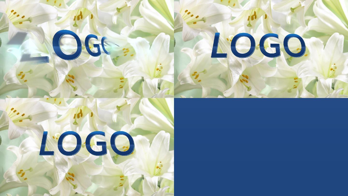 LOGO转场