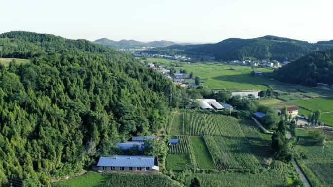 中江乡村风光航拍苕坡村新农村稻田