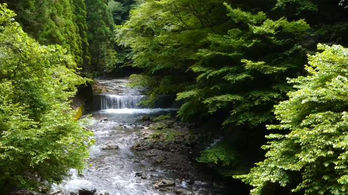 4k自然生态绿色植被瀑布溪流石头